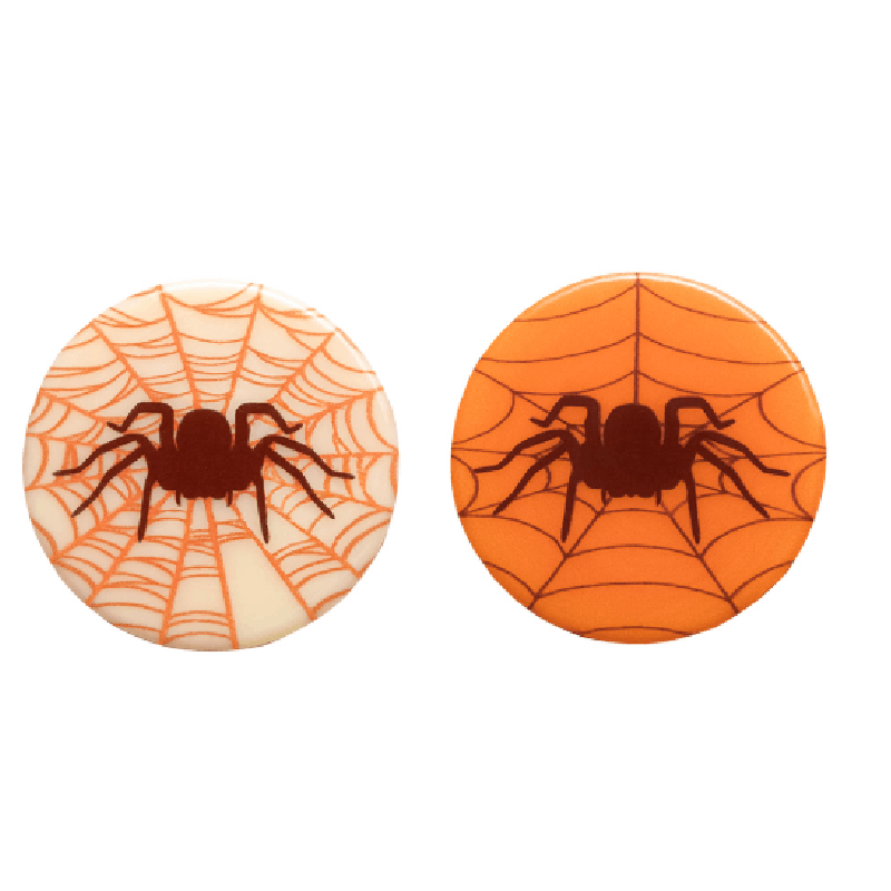 spider